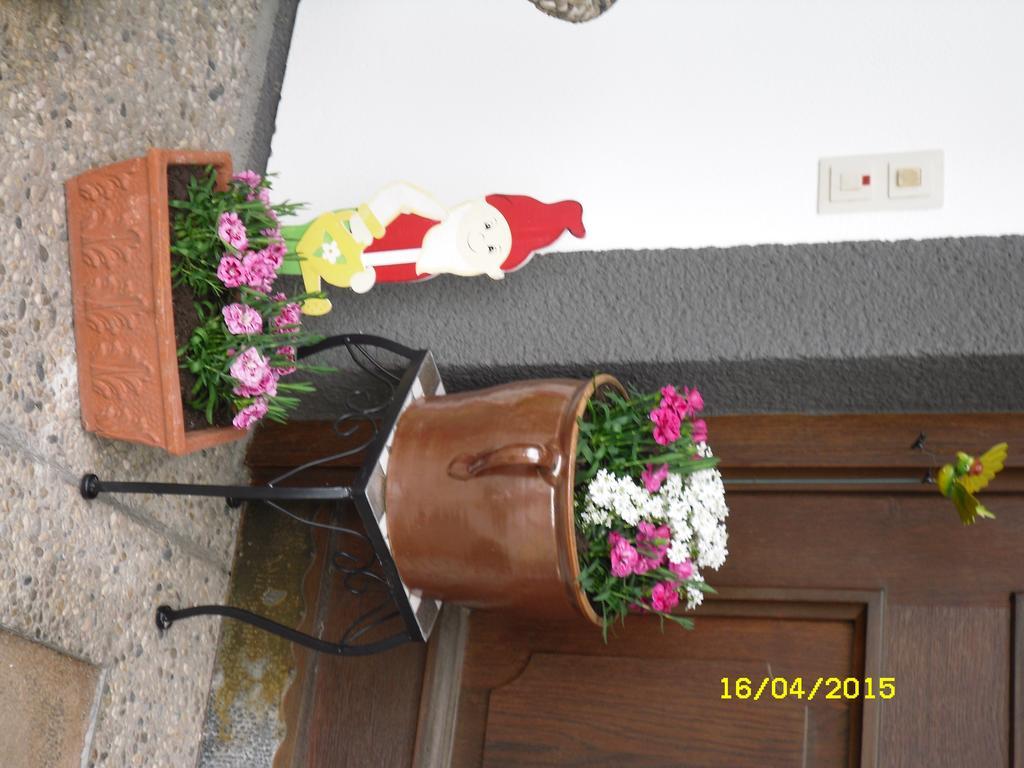 Vorderwiesgut Altenmarkt im Pongau Exterior foto