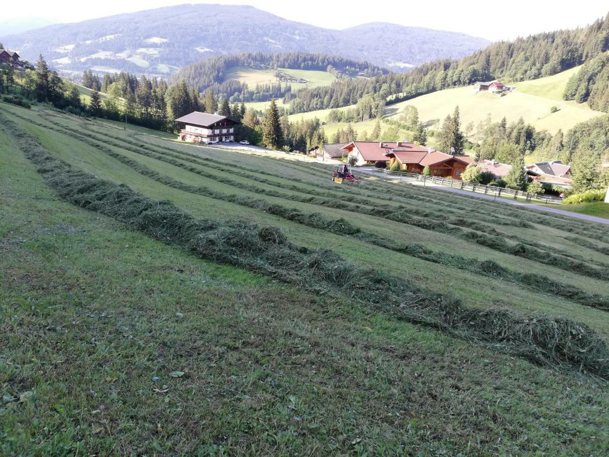 Vorderwiesgut Altenmarkt im Pongau Exterior foto