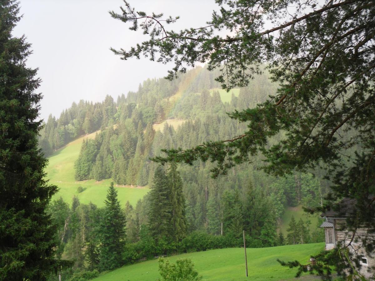 Vorderwiesgut Altenmarkt im Pongau Exterior foto